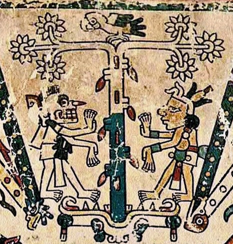 Cacao tree in the Codex Fejérváry-Mayer – two deities on either side of a cacao tree
