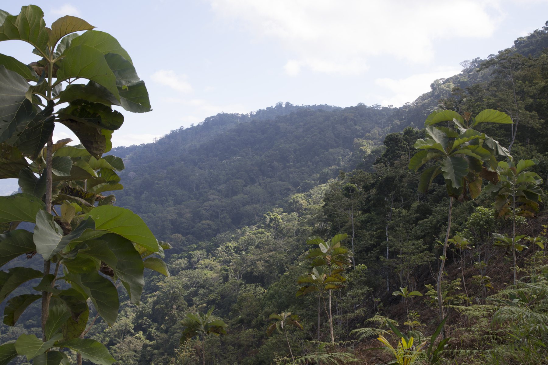 Farm-Fakten · Der Ort – Im Herzen Guatemalas, am Fuße der Sierra de las Minas